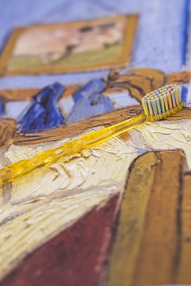 Van Gogh toothbrush Impression Brush Collection