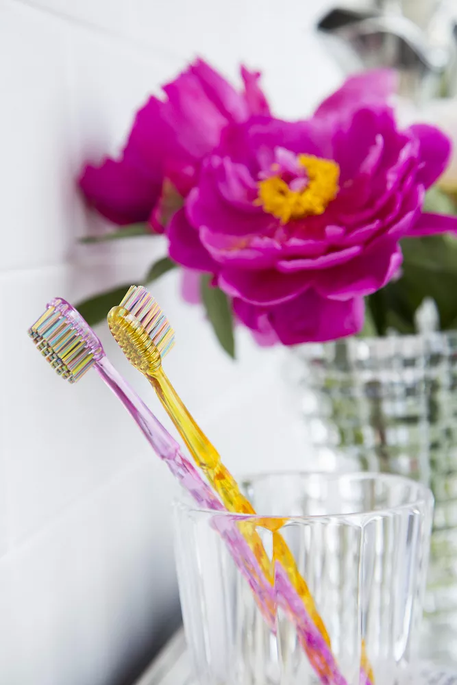 Van Gogh toothbrush Impression Brush Collection