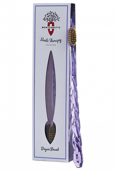 Edgar Degas Toothbrush Impression Brush Collection