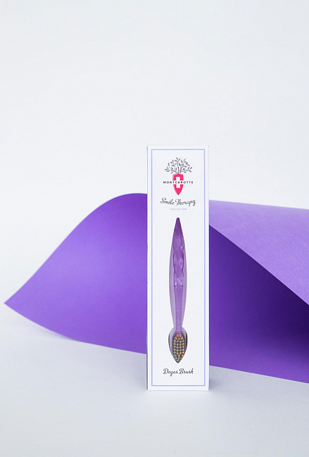 Edgar Degas Toothbrush Impression Brush Collection